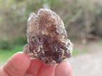 Natural Smokey Fluorite Specimens with Yellow Muscovite Mica x 35 From Erongo, Namibia - Toprock Gemstones and Minerals 