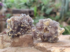 Natural Smokey Fluorite Specimens with Yellow Muscovite Mica x 35 From Erongo, Namibia - Toprock Gemstones and Minerals 