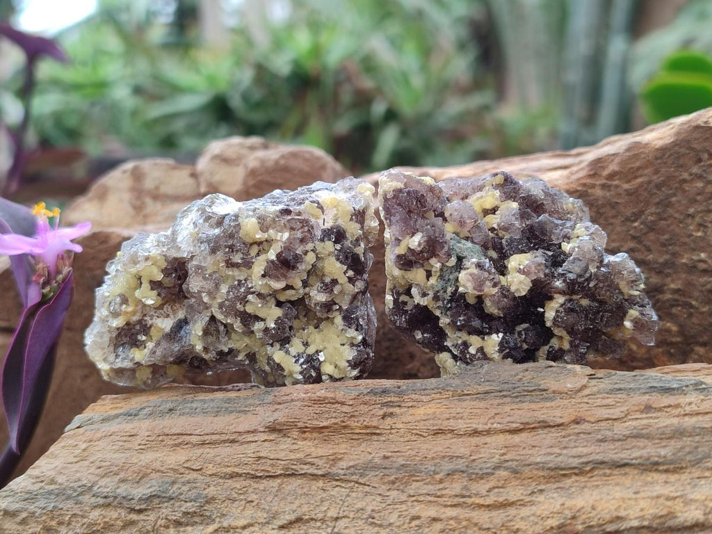 Natural Smokey Fluorite Specimens with Yellow Muscovite Mica x 35 From Erongo, Namibia - Toprock Gemstones and Minerals 