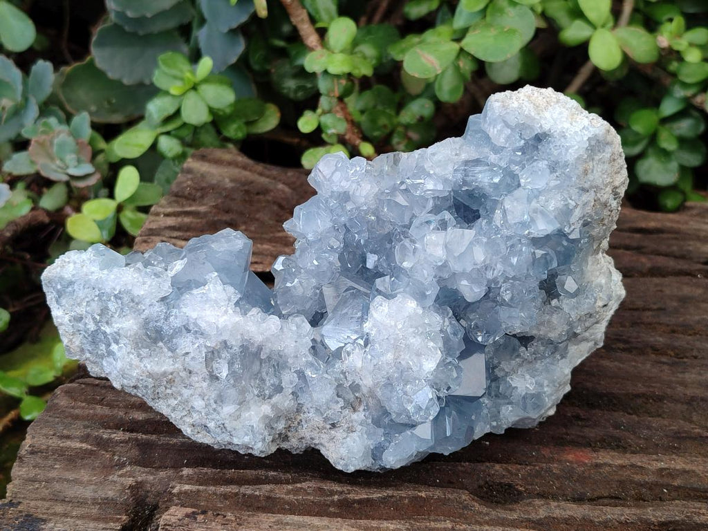 Natural Large Blue Celestite Specimen x 1 From Sakoany, Madagascar - Toprock Gemstones and Minerals 