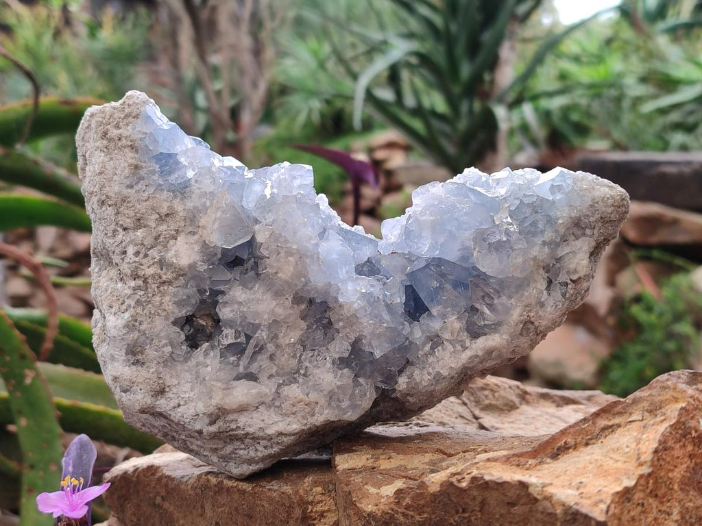Natural Large Blue Celestite Specimen x 1 From Sakoany, Madagascar - Toprock Gemstones and Minerals 