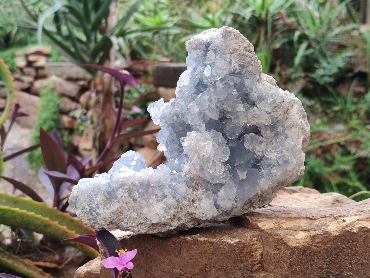 Natural Large Blue Celestite Specimen x 1 From Sakoany, Madagascar - Toprock Gemstones and Minerals 