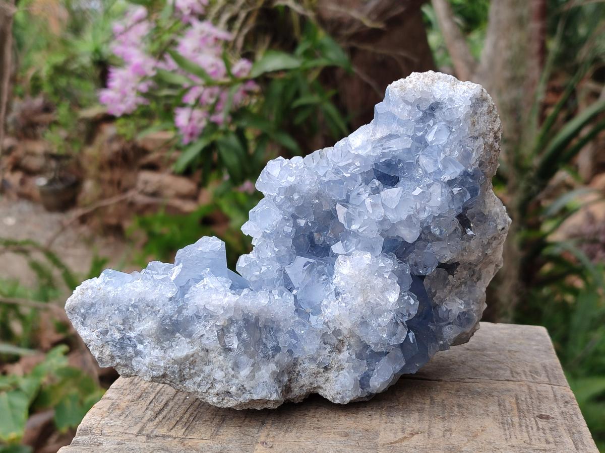 Natural Large Blue Celestite Specimen x 1 From Sakoany, Madagascar - Toprock Gemstones and Minerals 