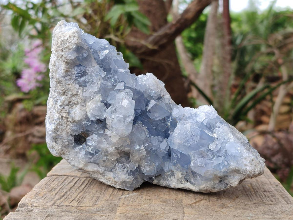 Natural Large Blue Celestite Specimen x 1 From Sakoany, Madagascar - Toprock Gemstones and Minerals 