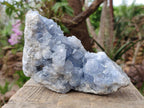Natural Large Blue Celestite Specimen x 1 From Sakoany, Madagascar - Toprock Gemstones and Minerals 