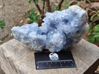 Natural Large Blue Celestite Specimen x 1 From Sakoany, Madagascar - Toprock Gemstones and Minerals 