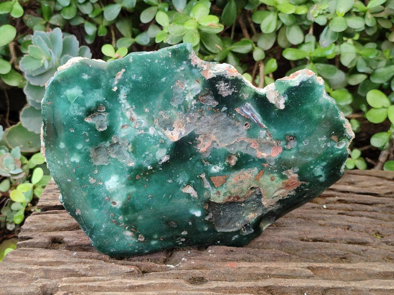Polished One Side Large Mtorolite Chrysoprase Slice x 1 From Mutorashanga, Zimbabwe - Toprock Gemstones and Minerals 