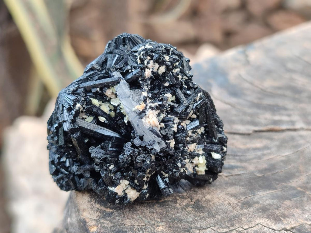 Natural Schorl Black Tourmaline Specimens x 12 From Erongo, Namibia - Toprock Gemstones and Minerals 