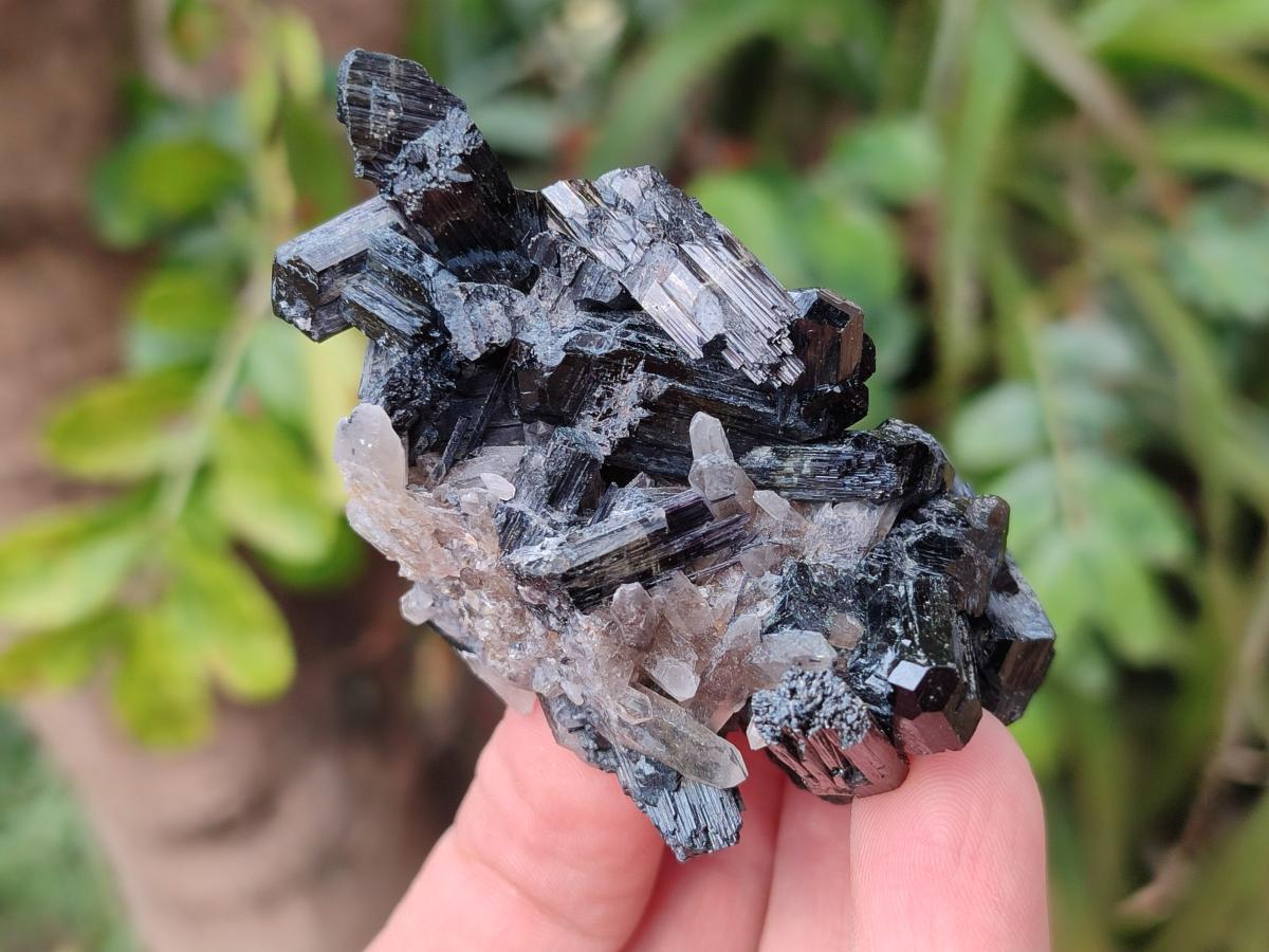 Natural Schorl Black Tourmaline Specimens x 12 From Erongo, Namibia - Toprock Gemstones and Minerals 