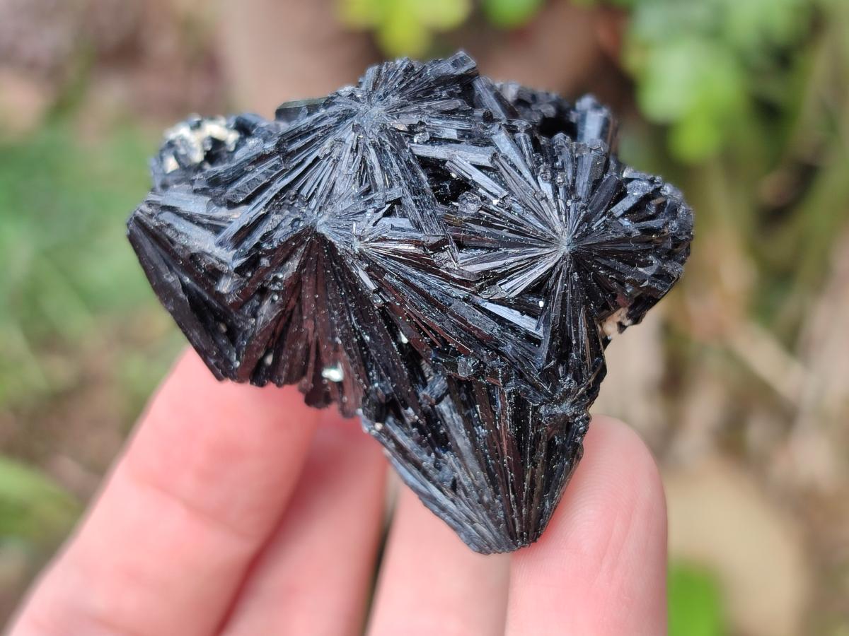 Natural Schorl Black Tourmaline Specimens x 12 From Erongo, Namibia - Toprock Gemstones and Minerals 