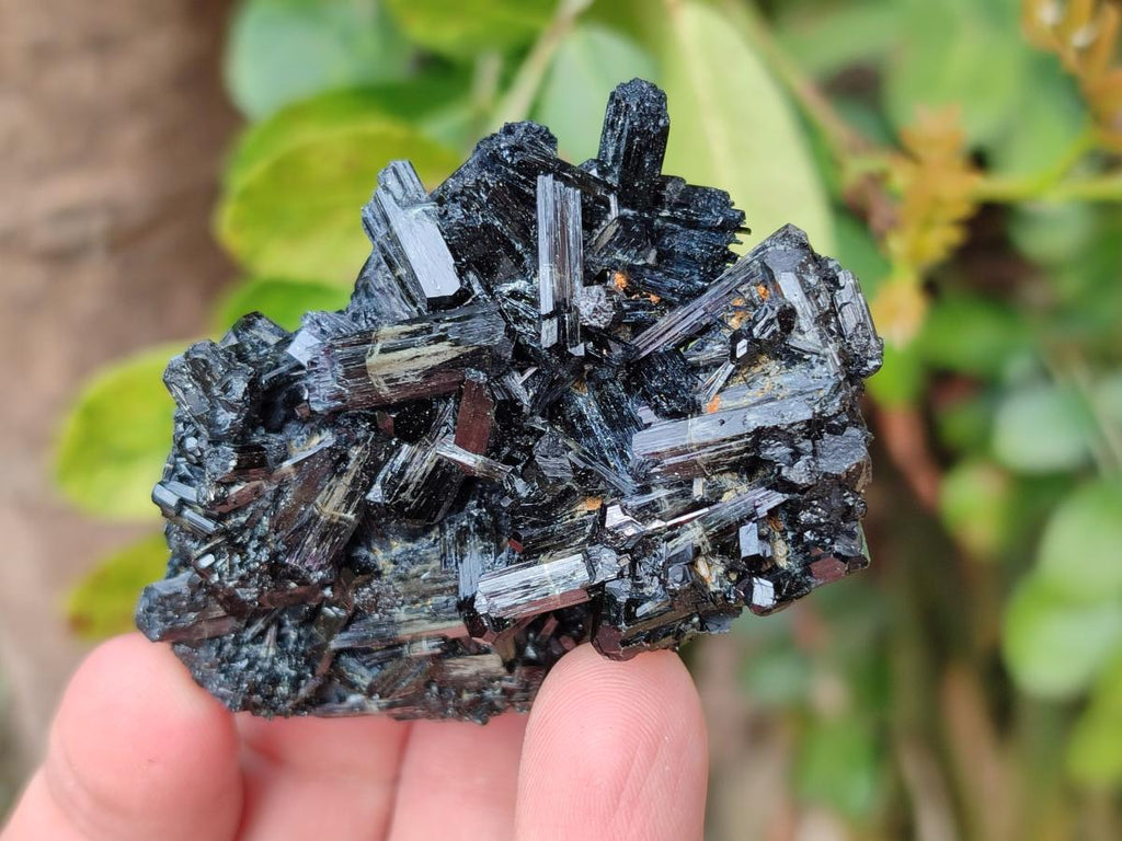 Natural Schorl Black Tourmaline Specimens x 12 From Erongo, Namibia - Toprock Gemstones and Minerals 
