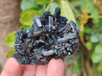 Natural Schorl Black Tourmaline Specimens x 12 From Erongo, Namibia - Toprock Gemstones and Minerals 