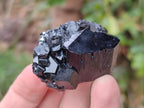 Natural Schorl Black Tourmaline Specimens x 12 From Erongo, Namibia - Toprock Gemstones and Minerals 