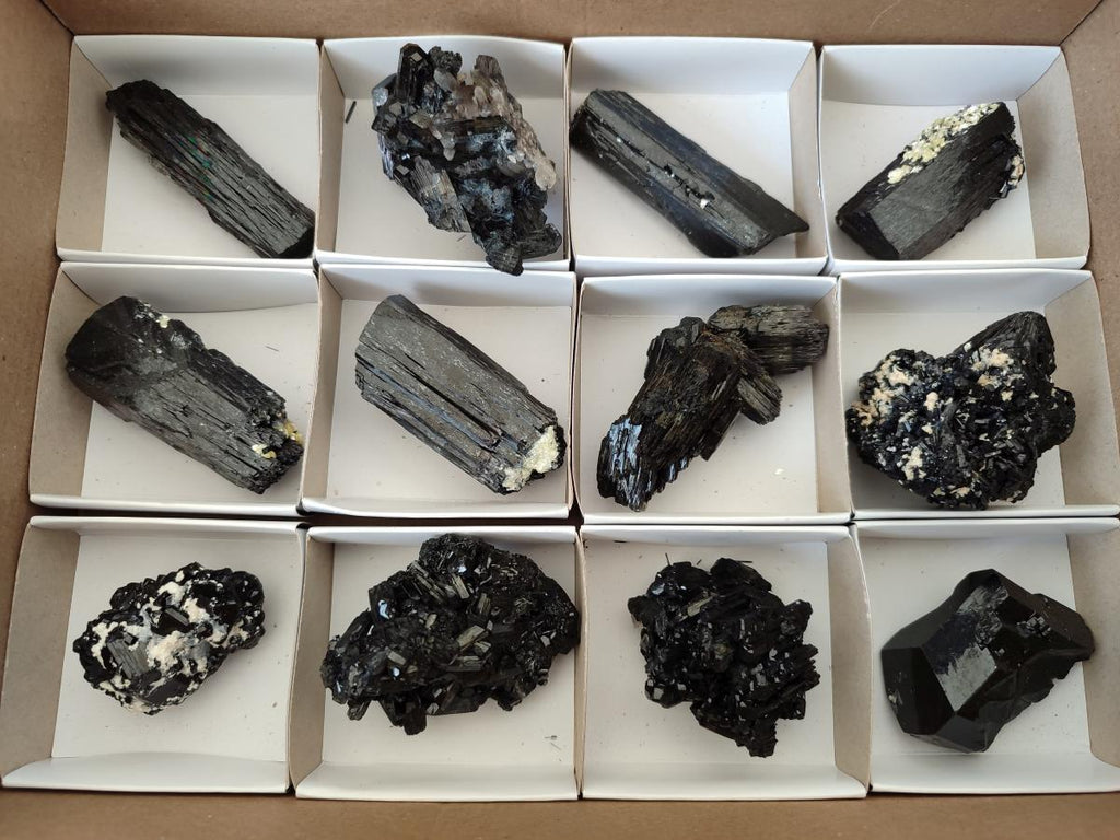 Natural Schorl Black Tourmaline Specimens x 12 From Erongo, Namibia - Toprock Gemstones and Minerals 