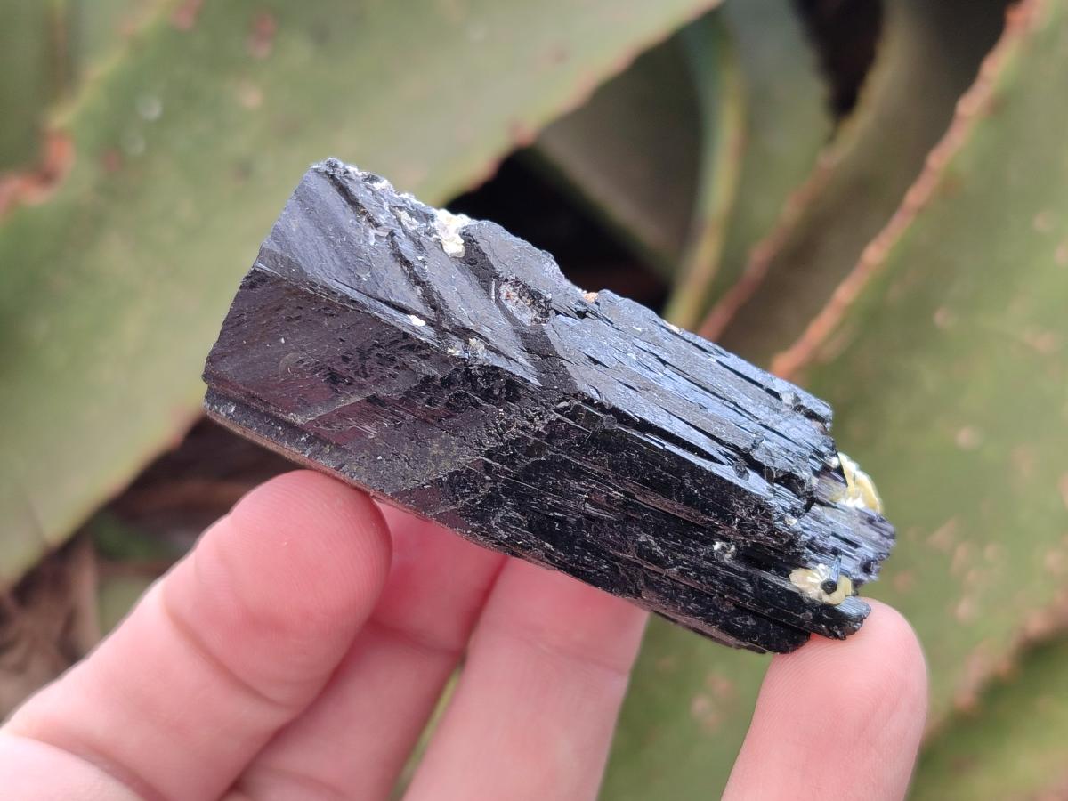 Natural Schorl Black Tourmaline Specimens x 12 From Erongo, Namibia - Toprock Gemstones and Minerals 