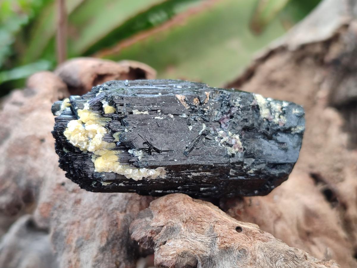Natural Schorl Black Tourmaline Specimens x 12 From Erongo, Namibia - Toprock Gemstones and Minerals 
