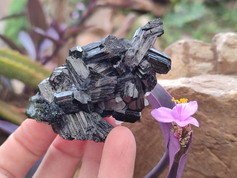 Natural Schorl Black Tourmaline Specimens x 12 From Erongo, Namibia - Toprock Gemstones and Minerals 