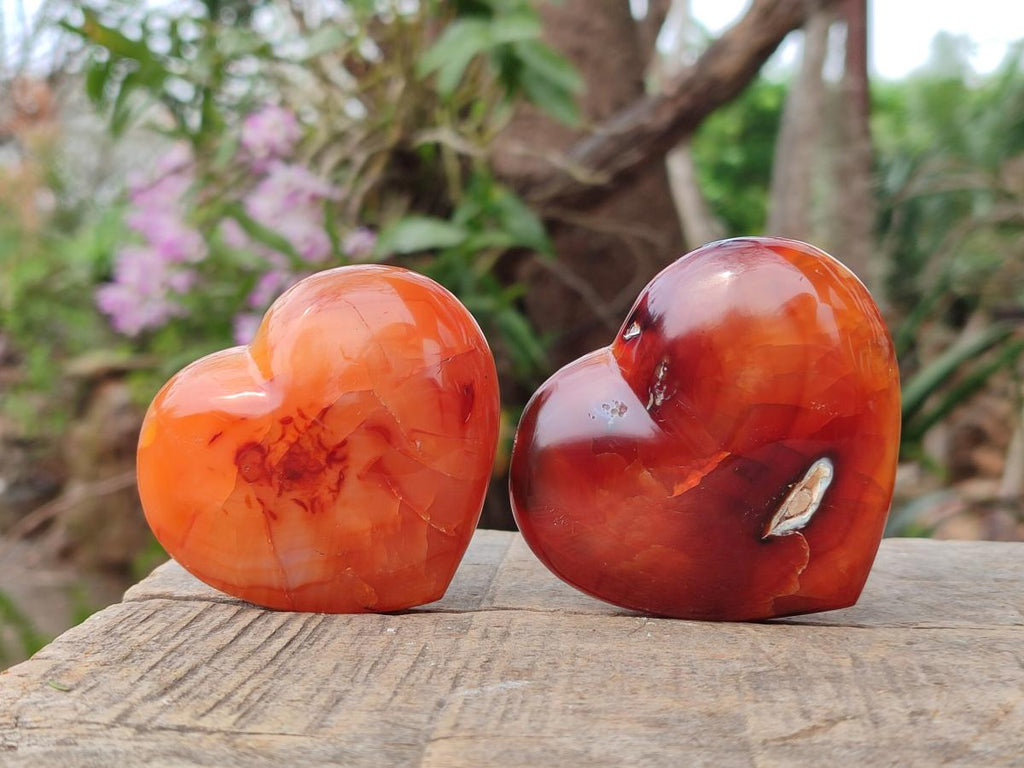 Polished Mix of Mineral Gemstone Hearts x 12 From Madagascar - Toprock Gemstones and Minerals 