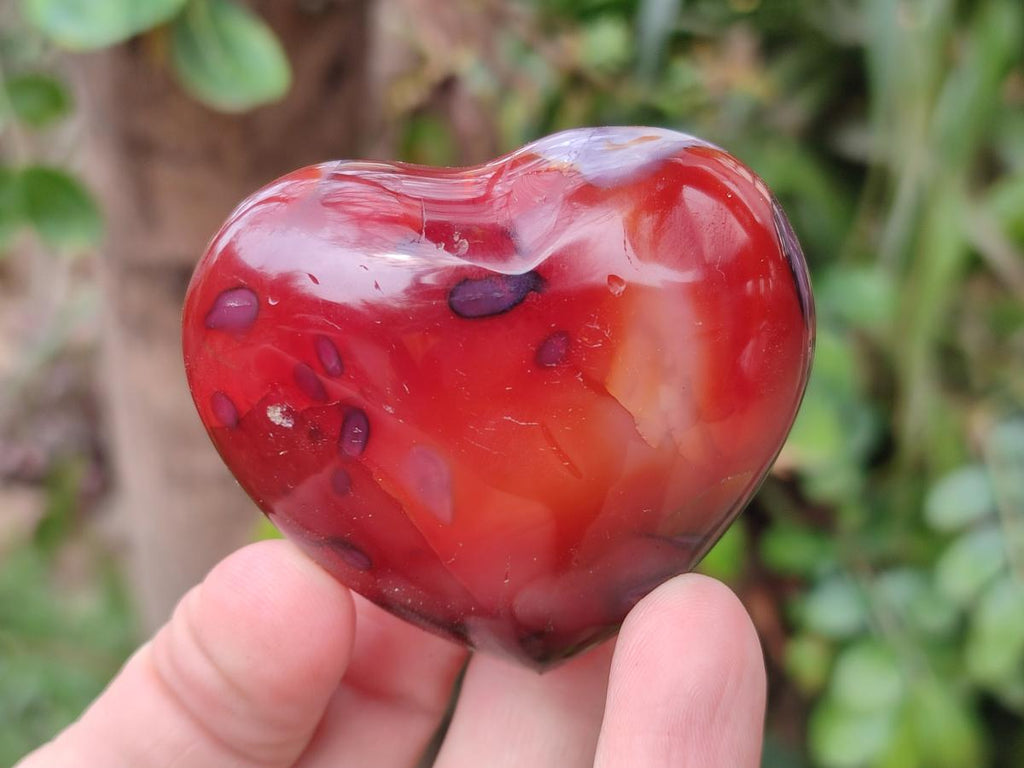 Polished Mix of Mineral Gemstone Hearts x 12 From Madagascar - Toprock Gemstones and Minerals 