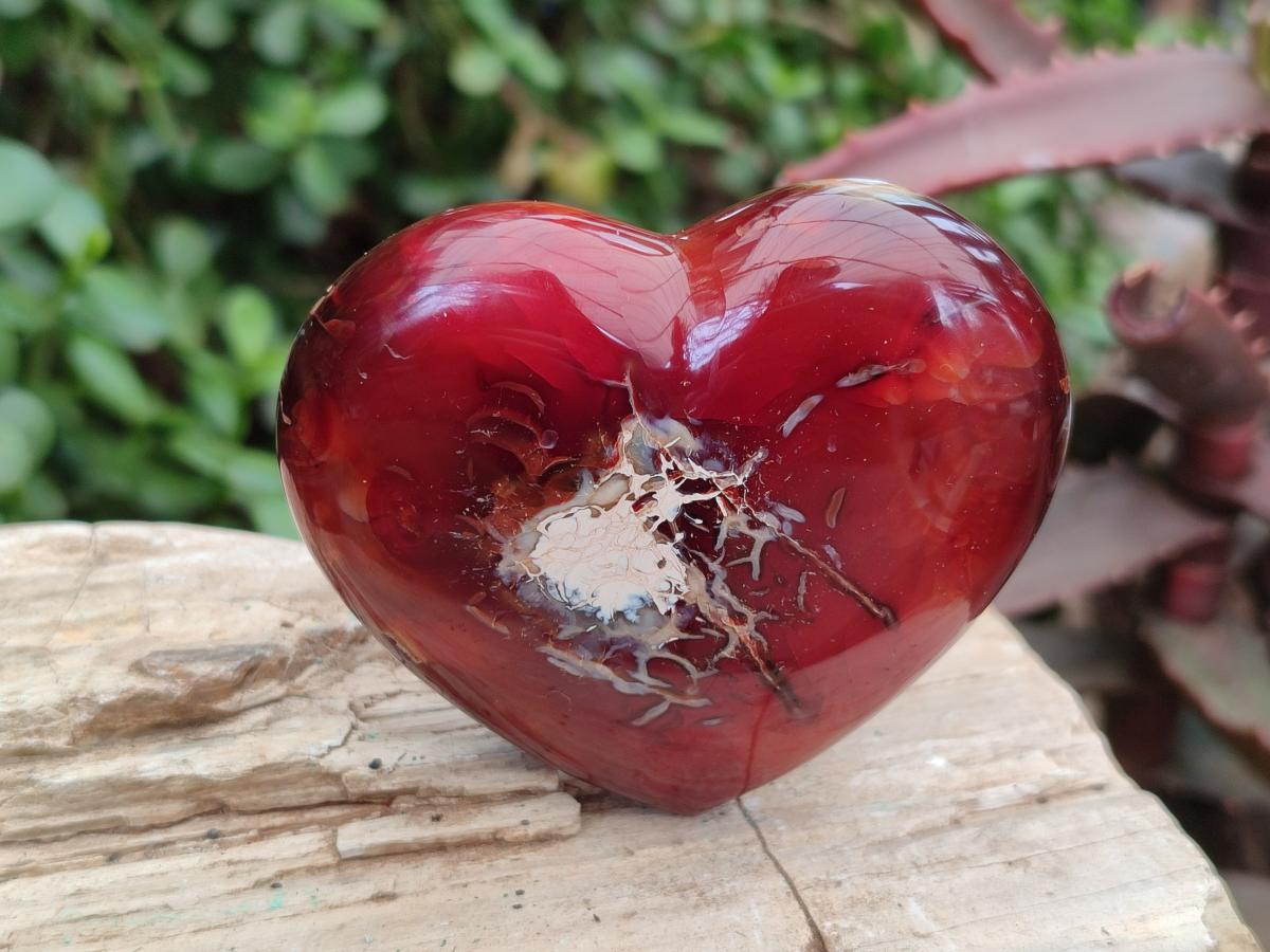 Polished Mix of Mineral Gemstone Hearts x 12 From Madagascar - Toprock Gemstones and Minerals 