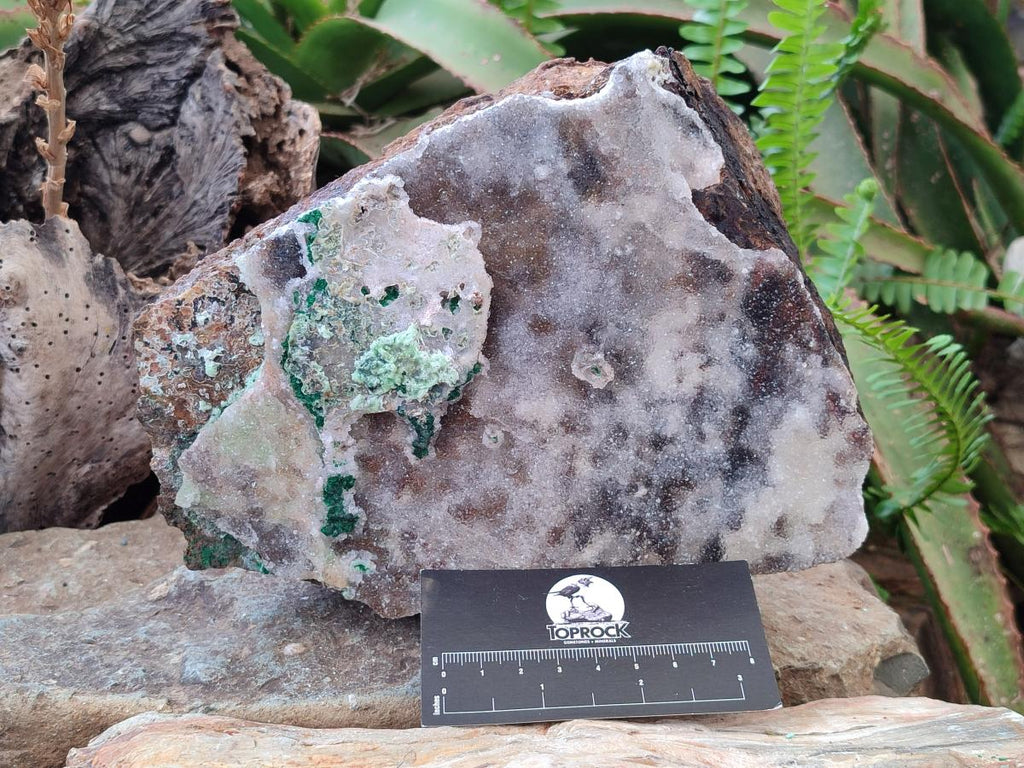 Natural Large Drusy Coated Dolomite Specimen with Malachite and Dufftite x 1 From Lupoto Mine, Congo - Toprock Gemstones and Minerals 