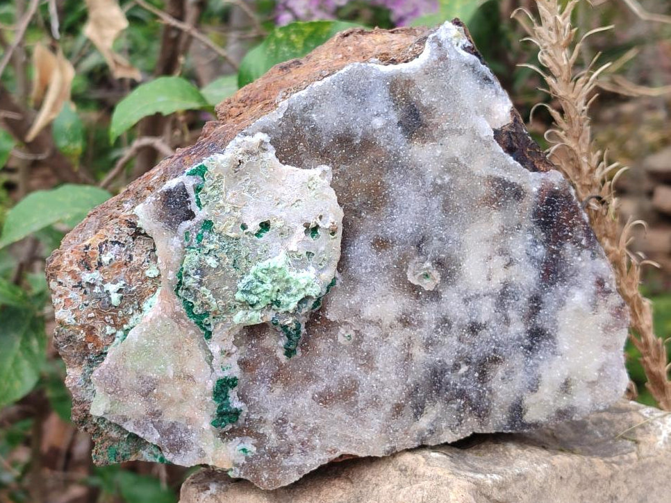 Natural Large Drusy Coated Dolomite Specimen with Malachite and Dufftite x 1 From Lupoto Mine, Congo - Toprock Gemstones and Minerals 
