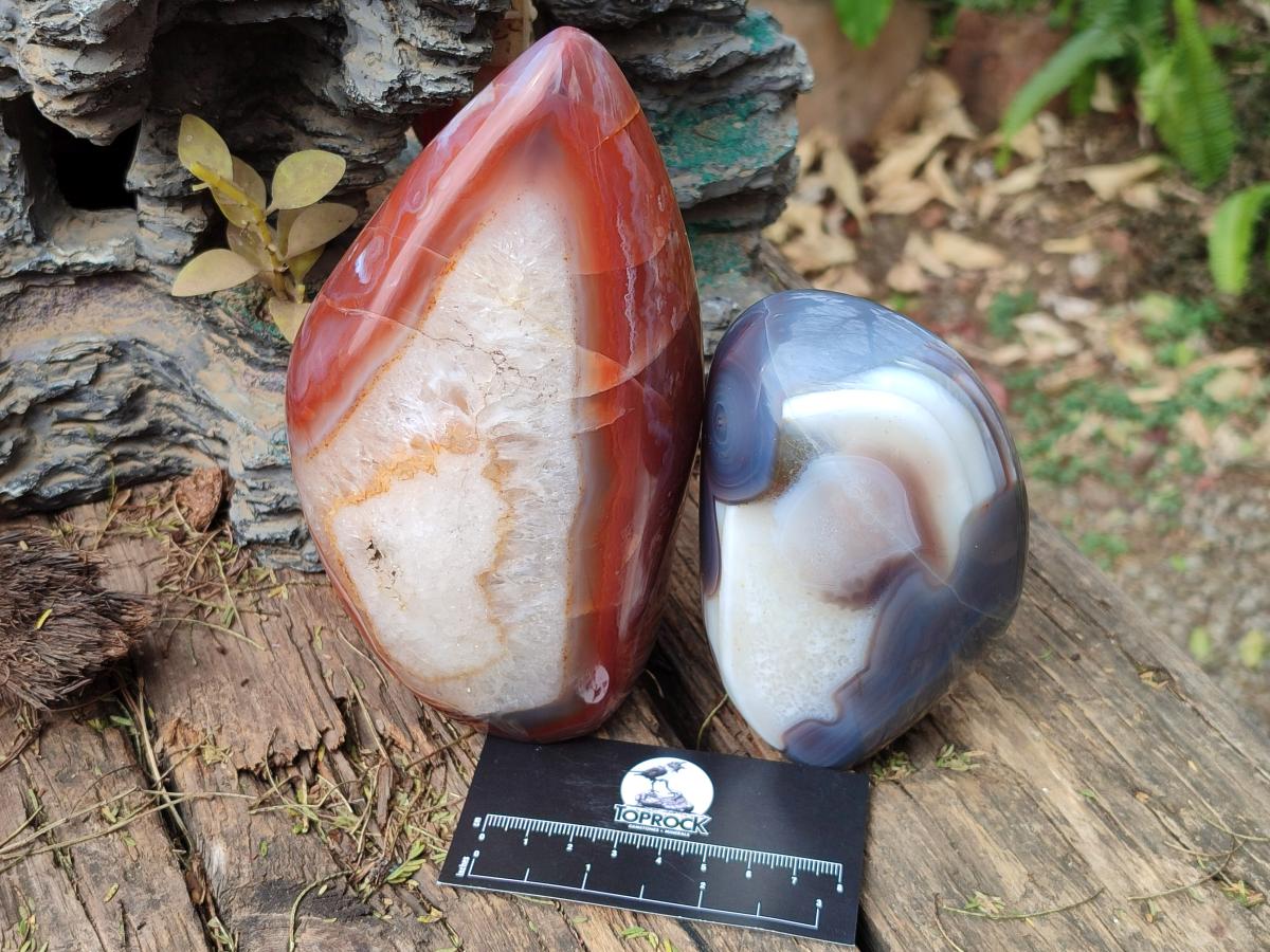 Polished Red Shashe River Agate Standing Display Pieces x 2 From Shashe River, Zimbabwe - Toprock Gemstones and Minerals 