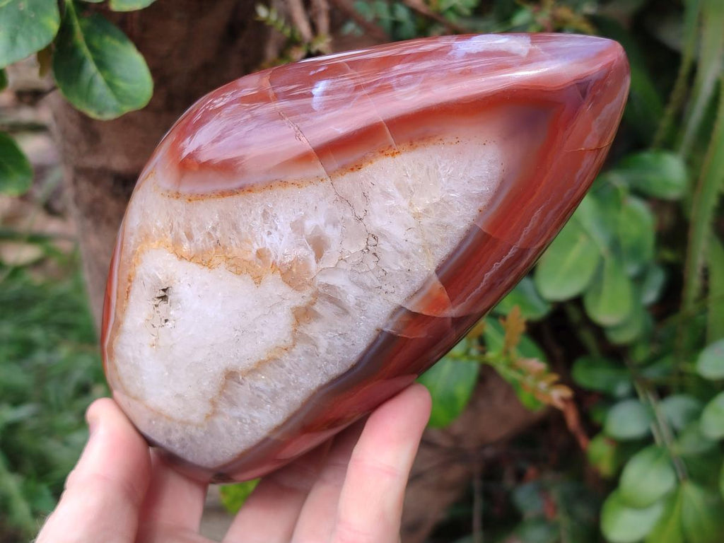 Polished Red Shashe River Agate Standing Display Pieces x 2 From Shashe River, Zimbabwe - Toprock Gemstones and Minerals 