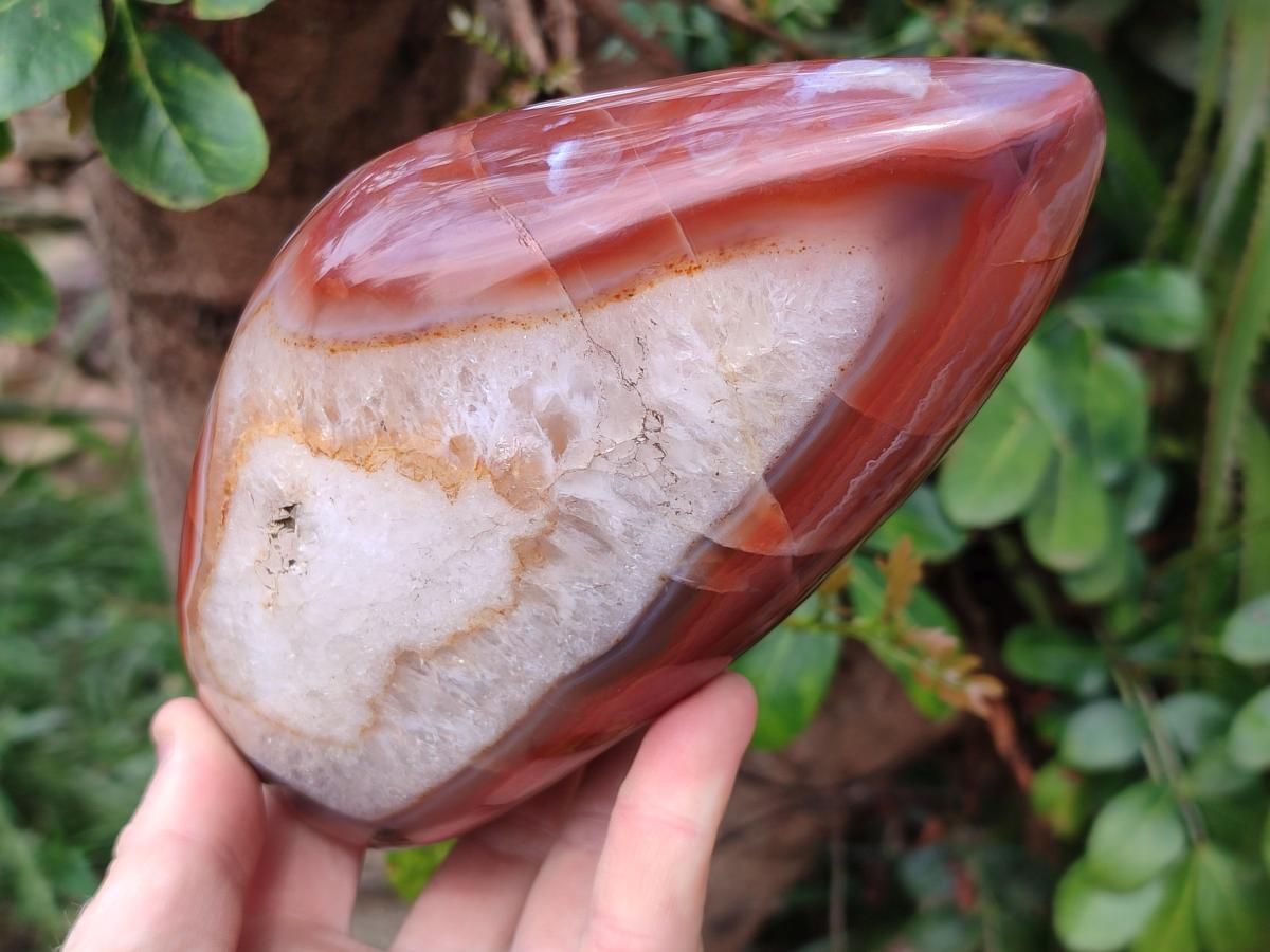 Polished Red Shashe River Agate Standing Display Pieces x 2 From Shashe River, Zimbabwe - Toprock Gemstones and Minerals 
