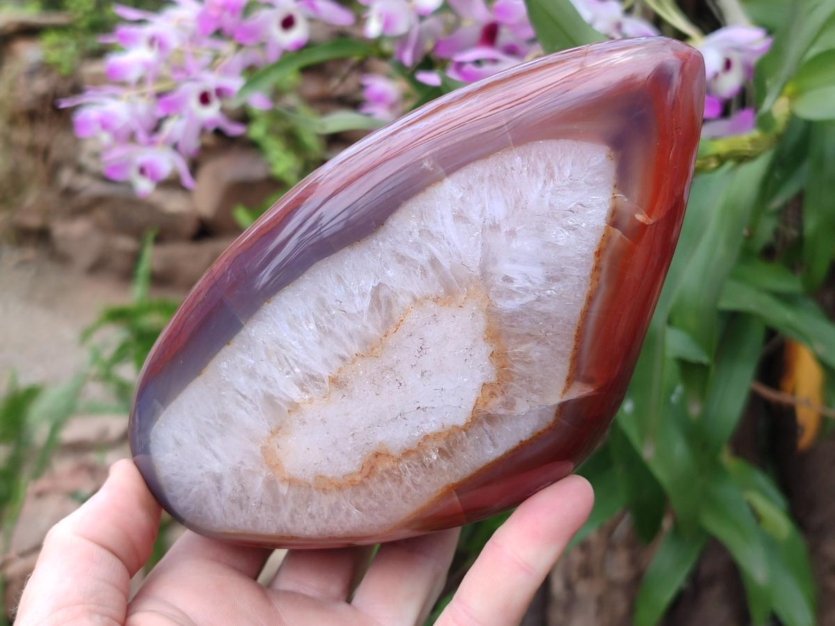 Polished Red Shashe River Agate Standing Display Pieces x 2 From Shashe River, Zimbabwe - Toprock Gemstones and Minerals 