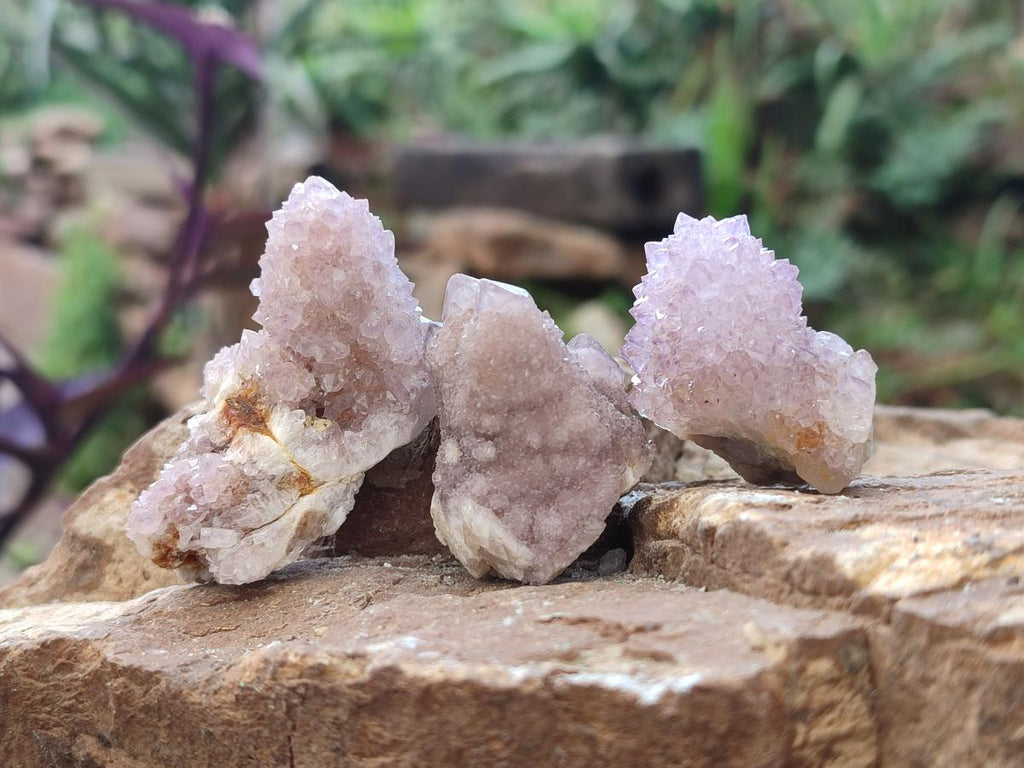 Natural Small Spirit Amethyst Crystals and Clusters x 35 From Boekenhouthoek, South Africa - Toprock Gemstones and Minerals 
