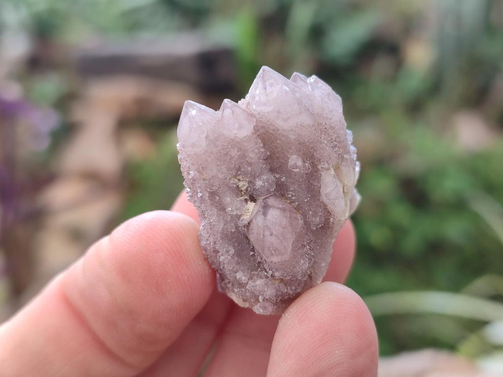 Natural Small Spirit Amethyst Crystals and Clusters x 35 From Boekenhouthoek, South Africa - Toprock Gemstones and Minerals 