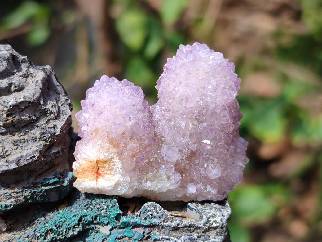 Natural Small Spirit Amethyst Crystals and Clusters x 35 From Boekenhouthoek, South Africa - Toprock Gemstones and Minerals 