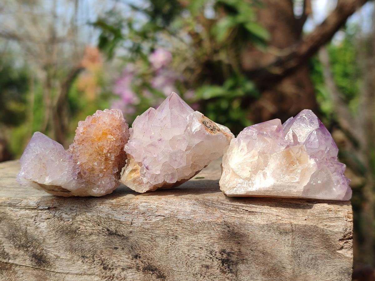 Natural Small Spirit Amethyst Crystals and Clusters x 35 From Boekenhouthoek, South Africa - Toprock Gemstones and Minerals 