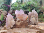 Natural Small Spirit Amethyst Crystals and Clusters x 35 From Boekenhouthoek, South Africa - Toprock Gemstones and Minerals 