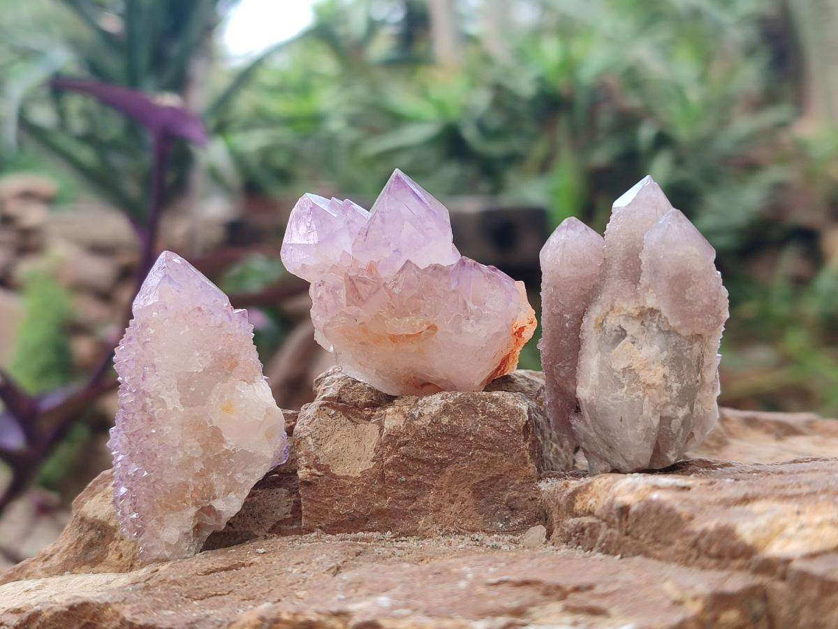 Natural Small Spirit Amethyst Crystals and Clusters x 35 From Boekenhouthoek, South Africa - Toprock Gemstones and Minerals 