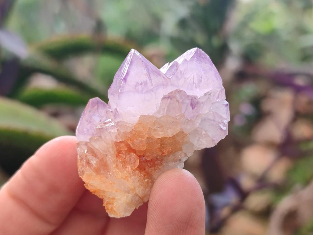 Natural Small Spirit Amethyst Crystals and Clusters x 35 From Boekenhouthoek, South Africa - Toprock Gemstones and Minerals 