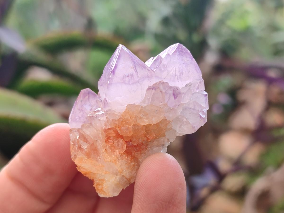 Natural Small Spirit Amethyst Crystals and Clusters x 35 From Boekenhouthoek, South Africa - Toprock Gemstones and Minerals 