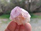 Natural Small Spirit Amethyst Crystals and Clusters x 35 From Boekenhouthoek, South Africa - Toprock Gemstones and Minerals 
