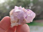 Natural Small Spirit Amethyst Crystals and Clusters x 35 From Boekenhouthoek, South Africa - Toprock Gemstones and Minerals 
