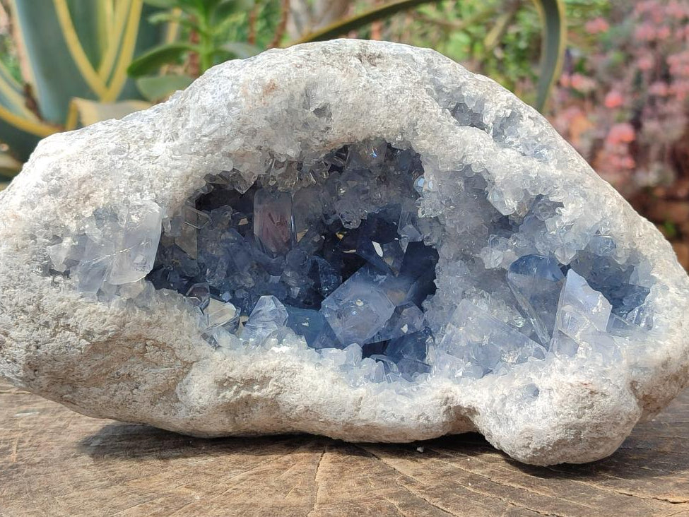 Natural XL Blue Celestite Geode Specimen x 1 From Sakoany, Madagascar - Toprock Gemstones and Minerals 