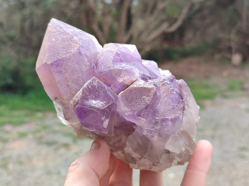Natural Jacaranda Amethyst Clusters x 2 From Mumbwa, Zambia - Toprock Gemstones and Minerals 
