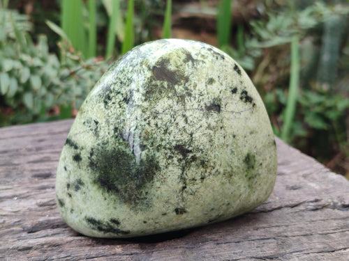 Polished Large Leopard Stone Free Forms x 4 From Zimbabwe - Toprock Gemstones and Minerals 