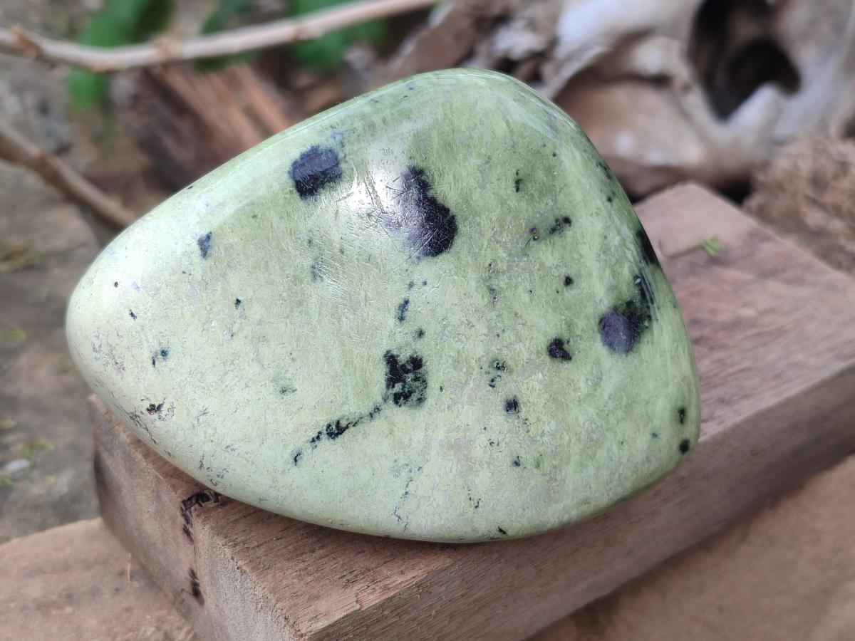 Polished Large Leopard Stone Free Forms x 4 From Zimbabwe - Toprock Gemstones and Minerals 
