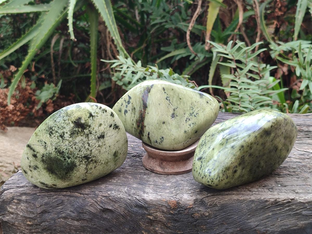 Polished Large Leopard Stone Free Forms x 4 From Zimbabwe - Toprock Gemstones and Minerals 