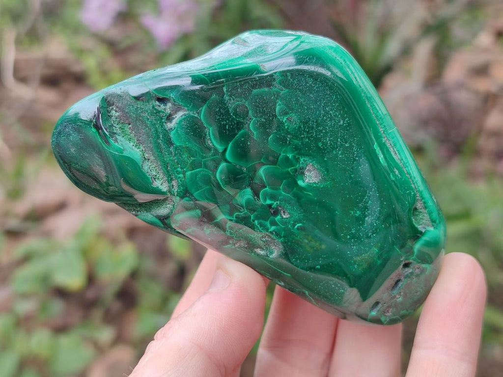 Polished Flower Banded Malachite Free Forms x 6 From Congo - Toprock Gemstones and Minerals 