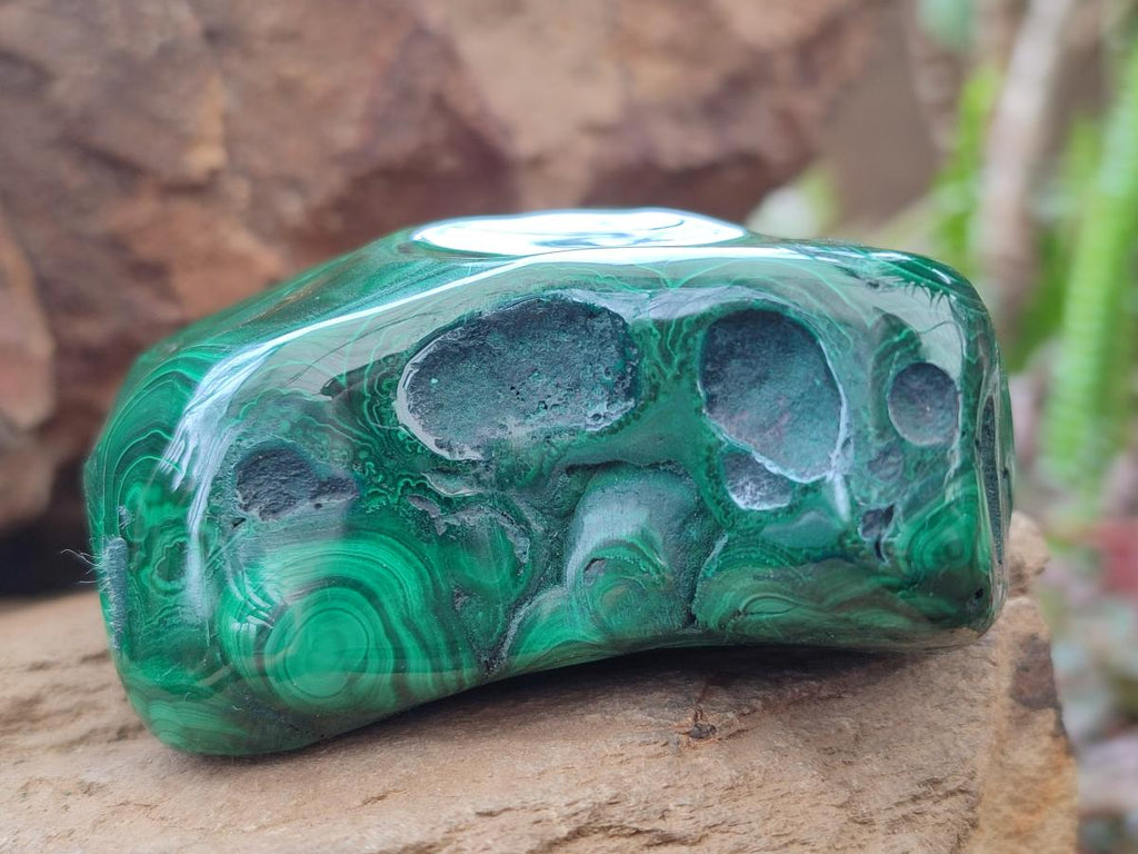 Polished Flower Banded Malachite Free Forms x 6 From Congo - Toprock Gemstones and Minerals 