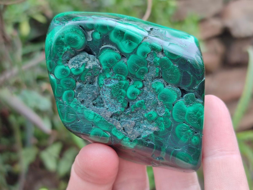 Polished Flower Banded Malachite Free Forms x 6 From Congo - Toprock Gemstones and Minerals 