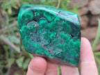 Polished Flower Banded Malachite Free Forms x 6 From Congo - Toprock Gemstones and Minerals 