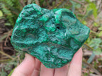 Polished Flower Banded Malachite Free Forms x 6 From Congo - Toprock Gemstones and Minerals 